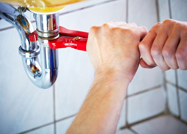 About Catalina Plumbers